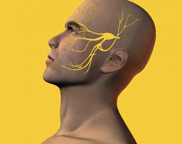 nevralgie-nerf-trijumeau-mesotherapie-troubles-nevralgique-paris-dr-nguyen Névralgie du nerf trijumeau par mésothérapie à Paris - Dr Nguyen