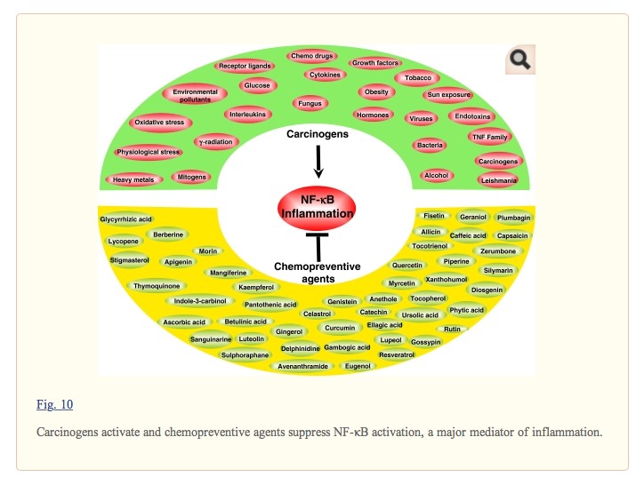 Acupuncture et cancer - Dr Vinh Nguyen Paris