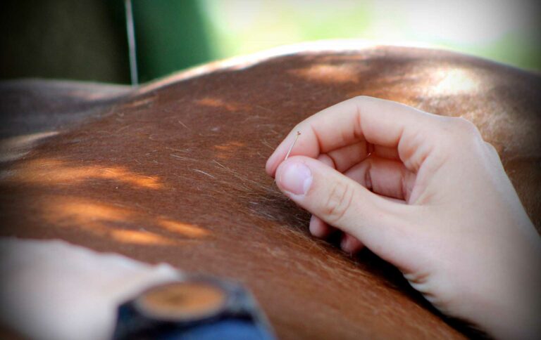 Acupuncture et depression chez les personnes âgées à Paris