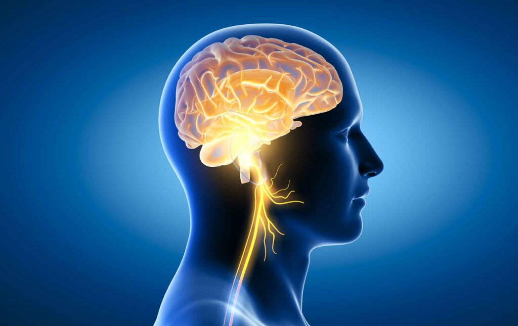 Acupuncture et nerf vague : une piste naturelle contre la dépression résistante
